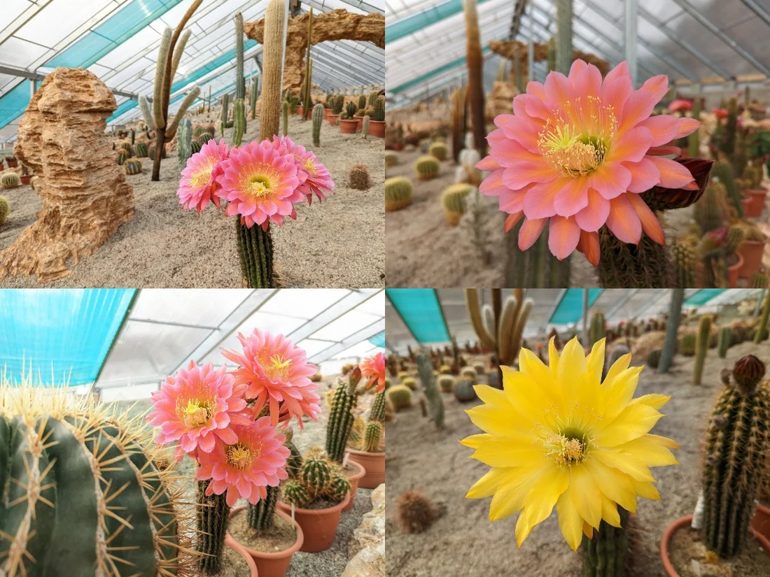 Botany Park Bojnice