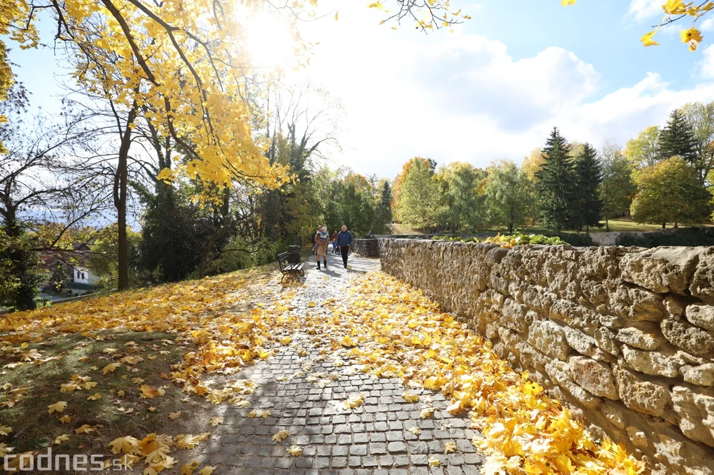 Autumn leaves along a path beside the castle