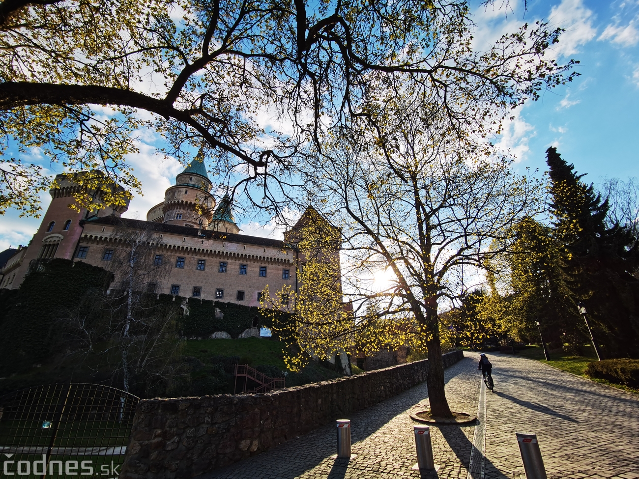 Bojnice and the castle grounds in bloom
