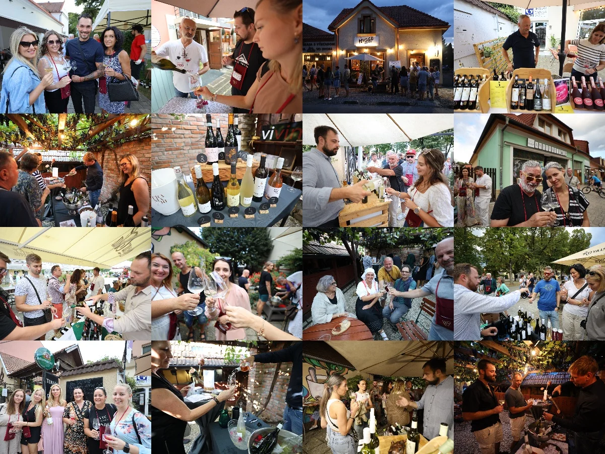 Fotografická koláž z Bojnického festivalu poctivých vín 2023
